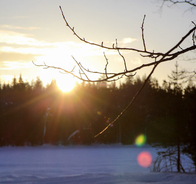 Paesaggio Finlandese, Neve, Lapponia