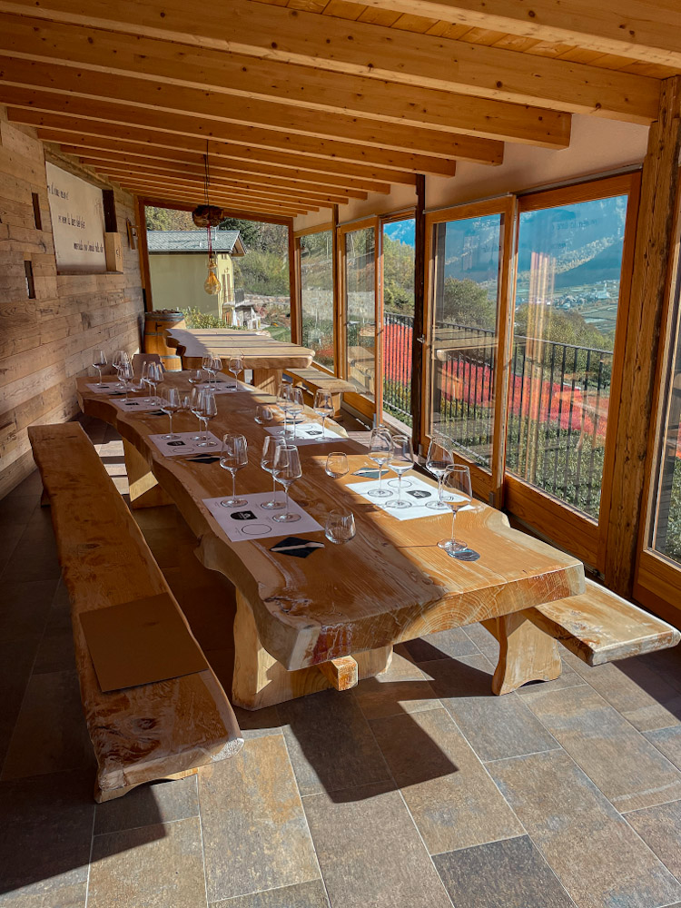 Ca' Bianche Azienda Agricola, Vino Valtellina, Sala Segustazione, Vista Panoramica